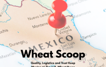 Copy of Wheat Scoop - Mexico (Facebook Post).png