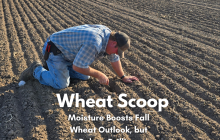 Wheat Scoop - Drill (Facebook Post).png