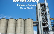 Wheat Scoop - October is National Co-op Month (Facebook Post).png