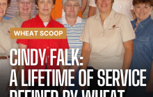 Wheat Scoop: Cindy