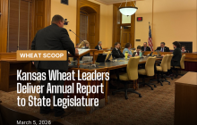 Annual Report (Facebook Post).png