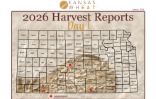 Harvest Report Day 1.png