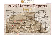 Day 4 Harvest Report