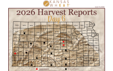 Harvest Report Day 6 Map