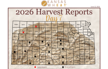 harvest map day 7