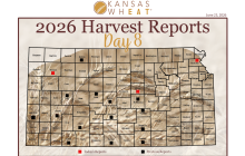 Harvest Map: Day 9