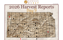 Harvest Map: Day 9