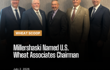 Wheat Scoop 7126 (Facebook Post 2).png