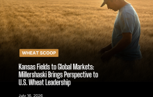 wheat scoop