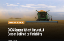 Wheat Scoop