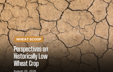 Copy of Wheat Scoop 82026 (Facebook Post).png