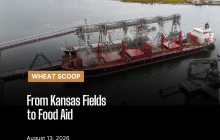 Wheat Scoop: Ks Fields to Food Aid