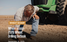 Wheat Scoop 91626