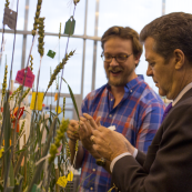 The KWIC has also given tours to government officials and industry partners, like Governor Sam Brownback who is shown here pollinating a double haploid plant.