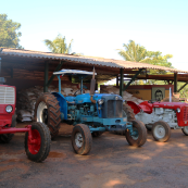 Photo: Several tractors at farm in Cuba.