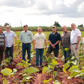 Photo: Members of the delegation with Cuban farmers in a field of taro root.