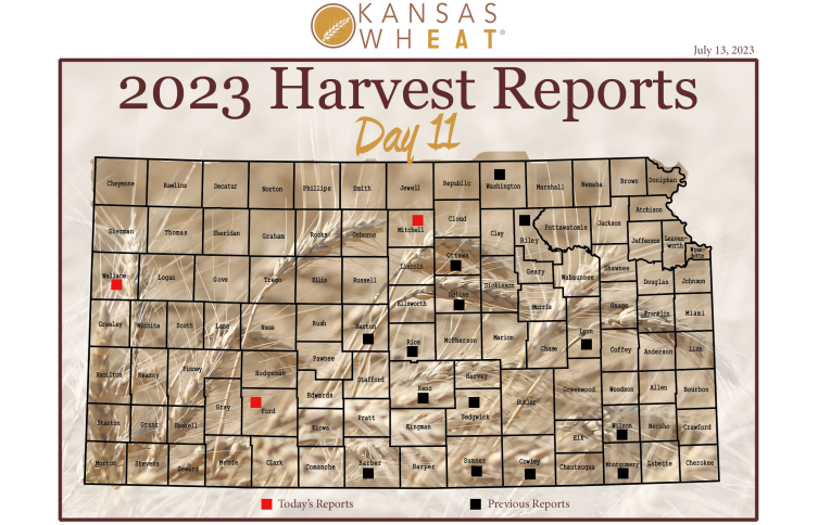 Day 11, Kansas Wheat Harvest Report