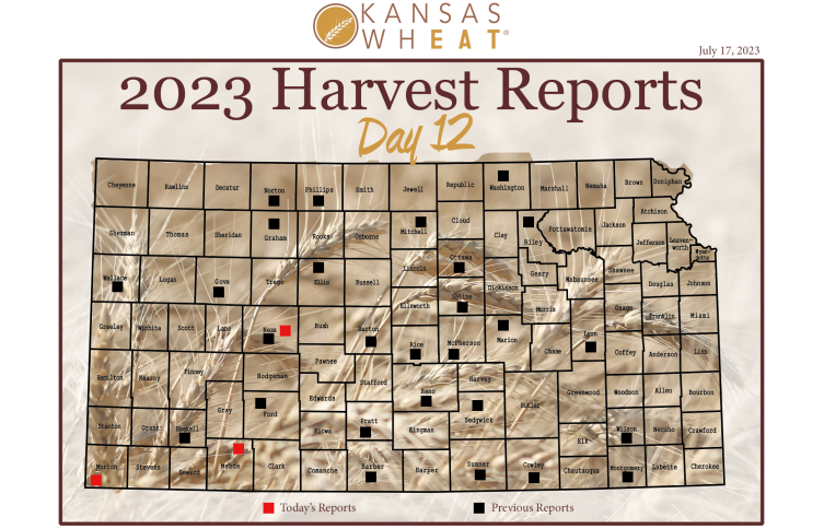 Day 12, Kansas Wheat Harvest Report
