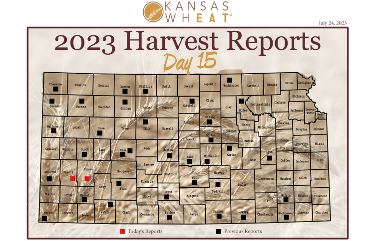 Day 15 Wheat Harvest Report 2023