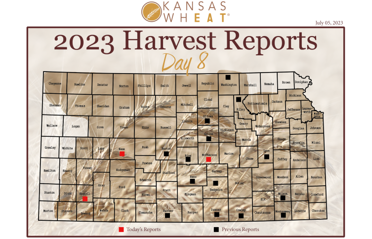 Day 8, Kansas Wheat Harvest Report