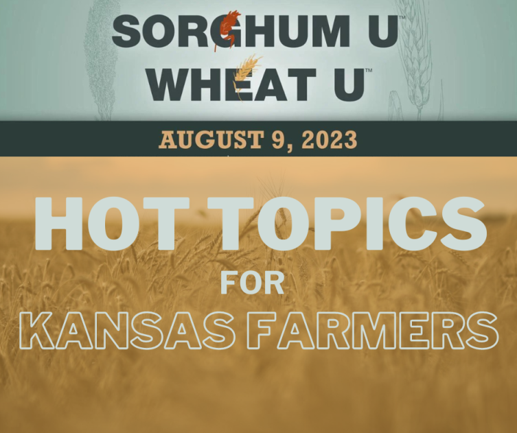Wheat Scoop: Sorghum U / Wheat U discusses hot topics for Kansas farmers
