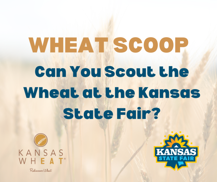 wheat scoop: Can you scout the wheat at the Kansas State Fair?