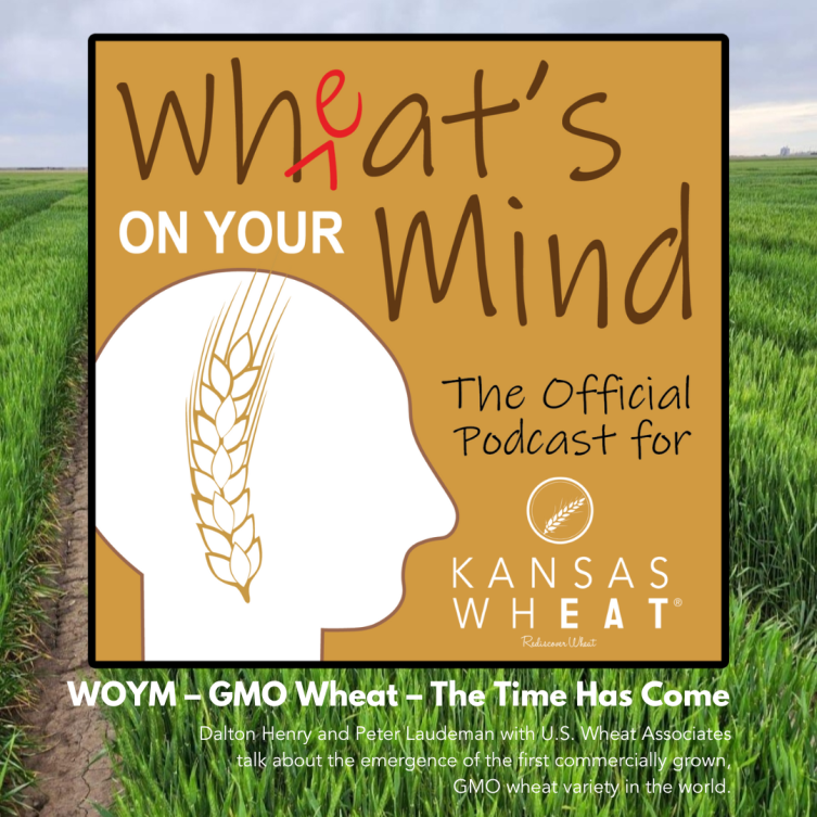 WOYM Podcast- GMO Wheat.