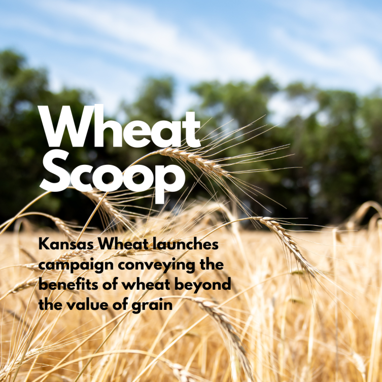 Wheat Scoop: Beyond the Grain.