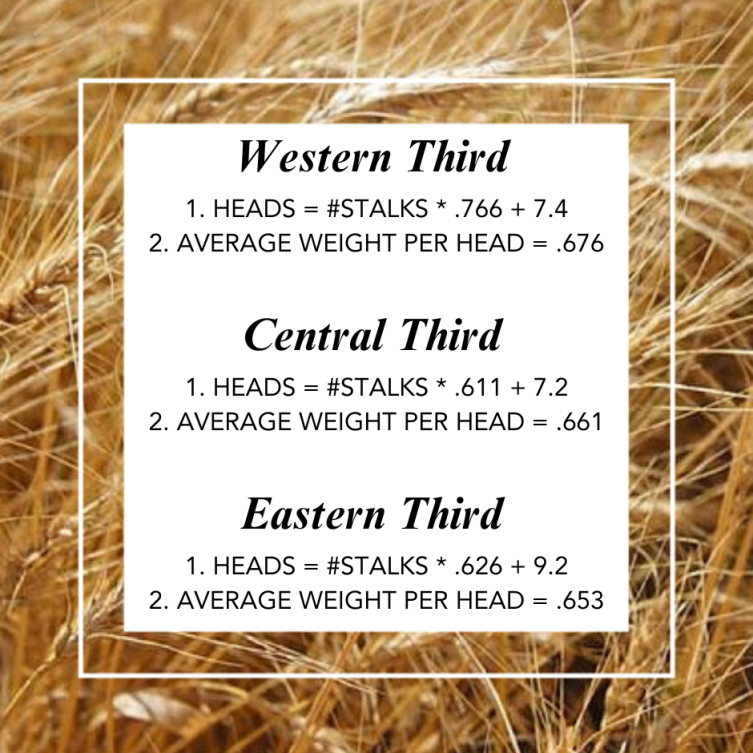 Early Season Formula 2025.