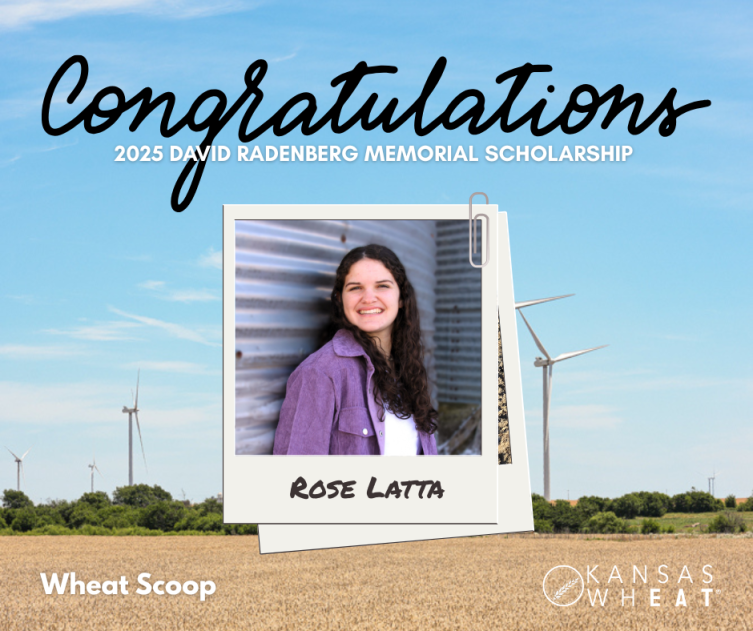 Wheat Scoop: Rattenburg Scholarship.