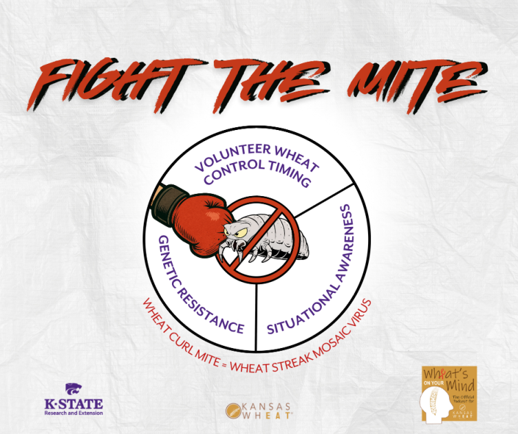 Copy of Fight the Mite.