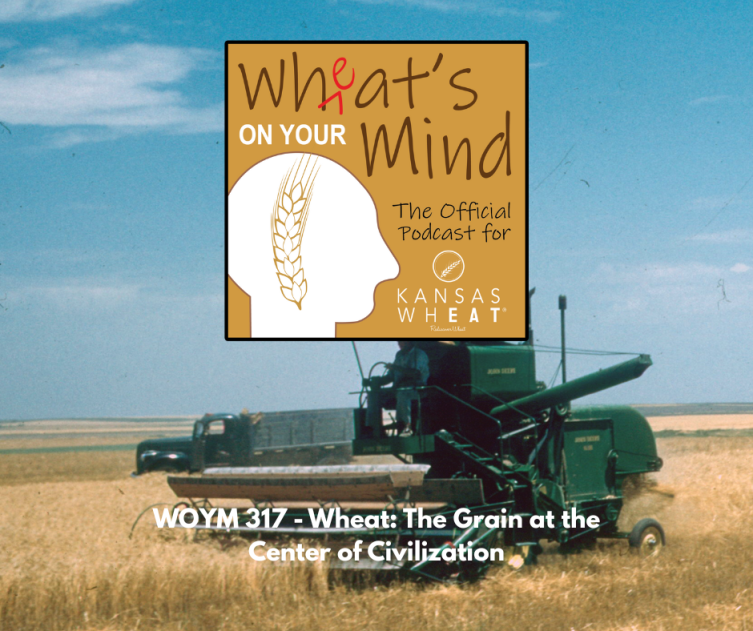 Copy of WOYM- 317 (Facebook Post).png