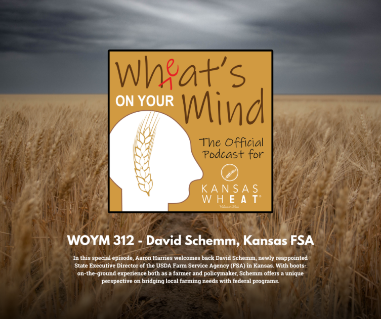 WOYM- David Schemm