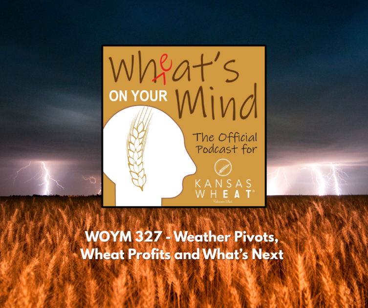 WOYM Podcast: Weather Pivots, Wheat Profits and What's Next image.