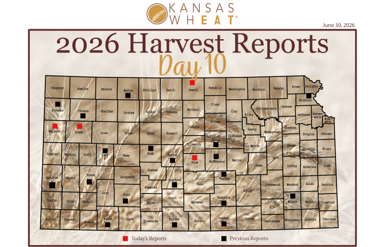 harvest map day 10
