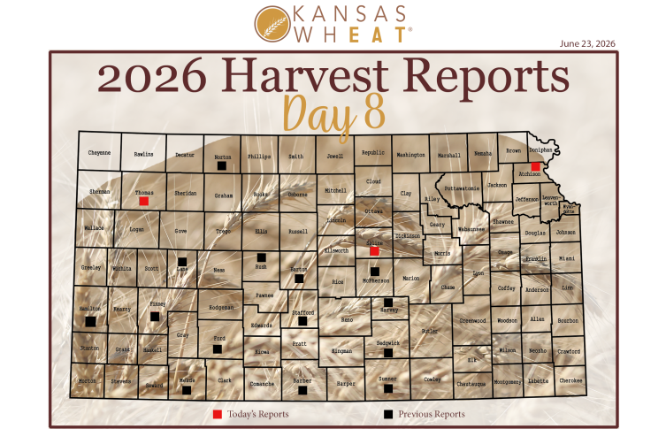 Harvest Map: Day 9