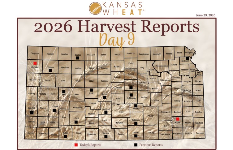 Harvest Map: Day 9