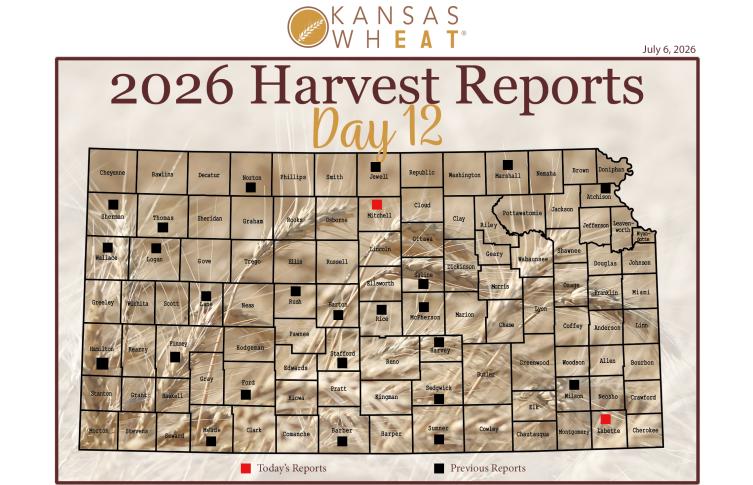 Harvest Map: Day 12