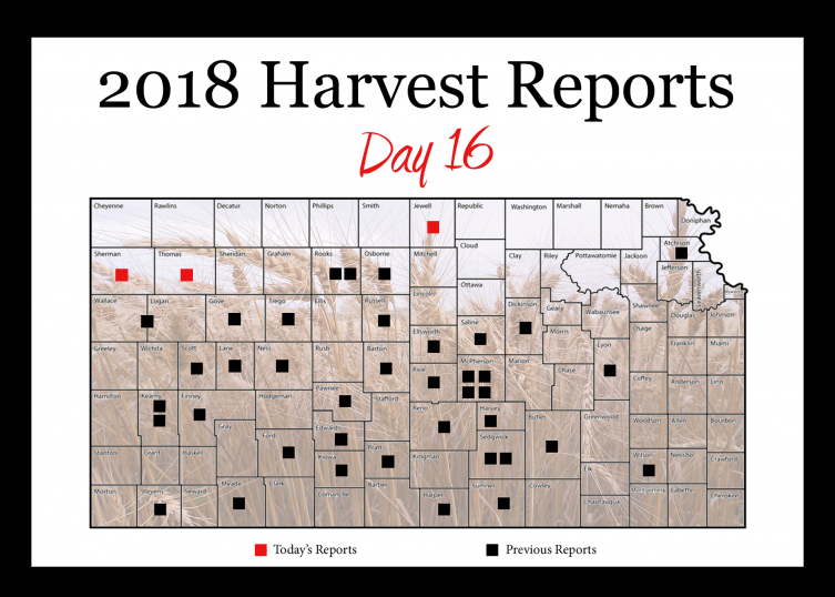 Day 16, Kansas Wheat Harvest Report 2018