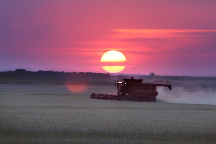 Harvest 2016