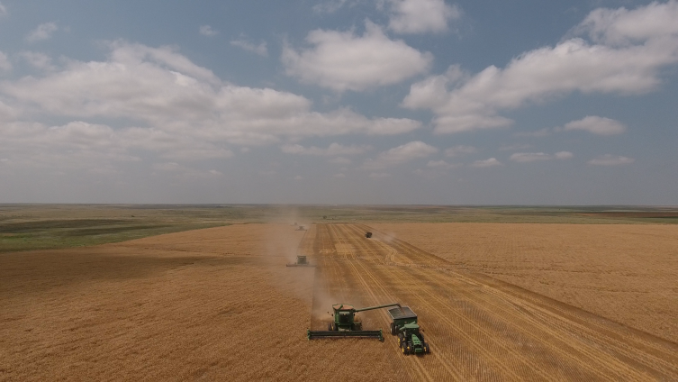 Wheat harvest 2021 on Brian Linin's farm.