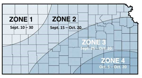 Optimum planting dates for winter wheat according to geographical location within Kansas. Figure adapted from KSRE publication L-818, Kansas Crop Planting Guide. Optimum planting dates for winter wheat according to geographical location within Kansas. Figure adapted from KSRE publication L-818, Kansas Crop Planting Guide.
