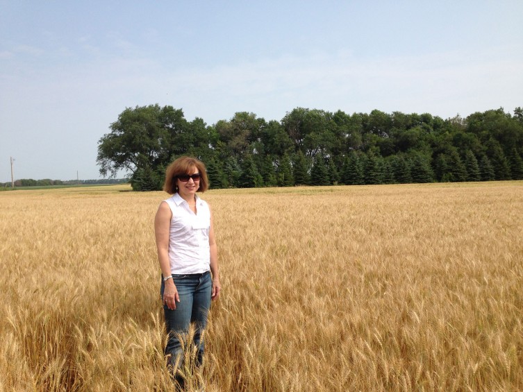 Photo: Palumbo in wheat field.