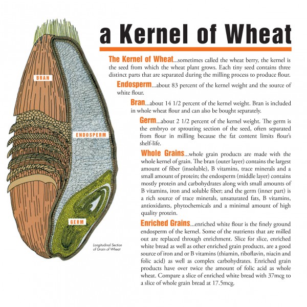 make-half-your-servings-whole-grain-kansas-wheat-leaders-in-the