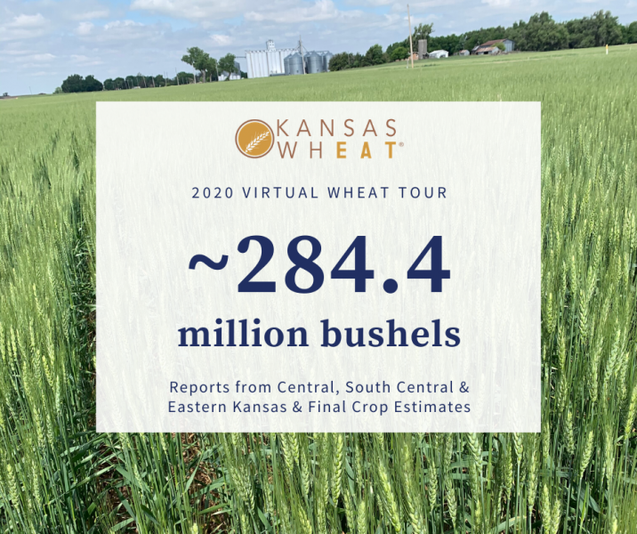 HRW Virtual Wheat Tour Kansas Wheat