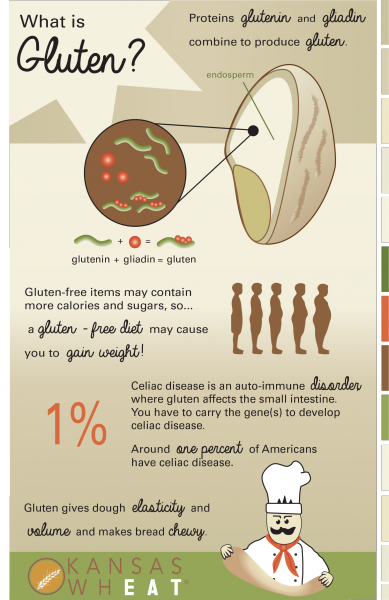 gluten and gliadin free grains clipart