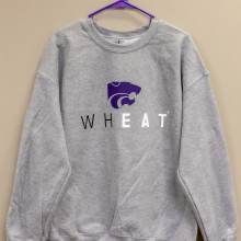 Gray Sweatshirt