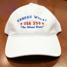 Photo: USA 250 hat - white.