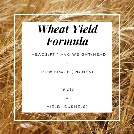 wheat, Kansas Wheat, Wheat Quality Tour 