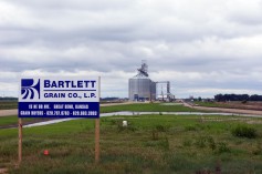 Kansas Wheat, Bartlett Grain